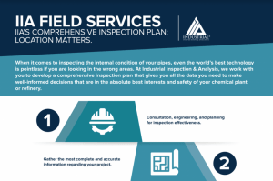 IIA's comprehensive inspection plan
