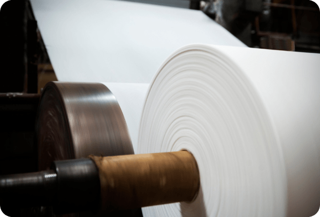 Paper & Pulp Industry