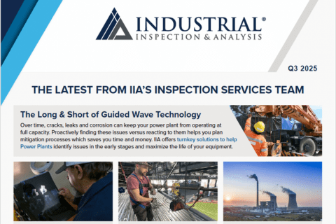 The HUB - Newsletters